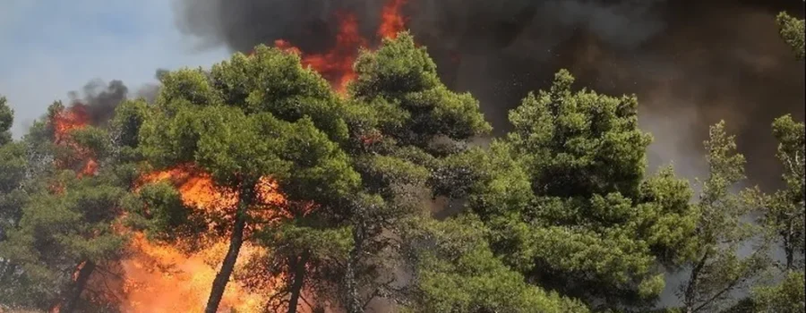 ΠΡΟΣΚΗΝΙΟ
